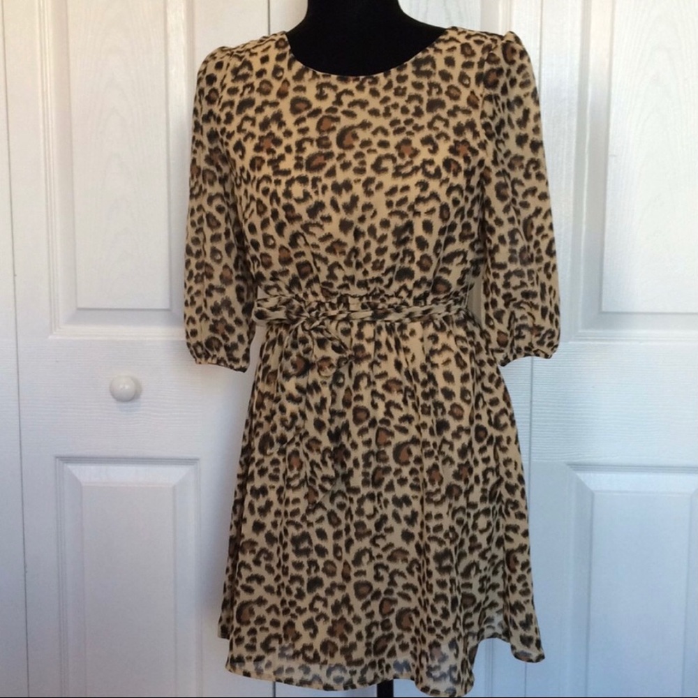 Leopard Print Dress or Tunic Blouse